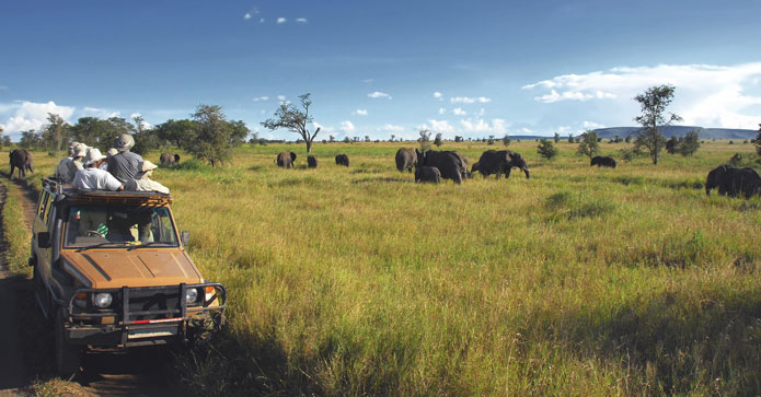 Turister i en safaribil observerer en flok elefanter i et åbent græsland under en blå himmel med spredte skyer.
