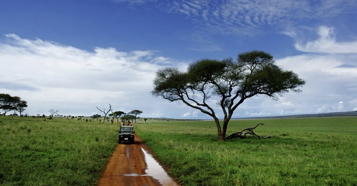 de billigste safarirejser i Afrika