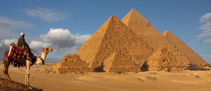 Kamel og pyramiderne i Egypten