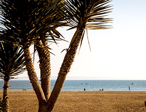 Marrakech og Agadir - Strand og palmer 