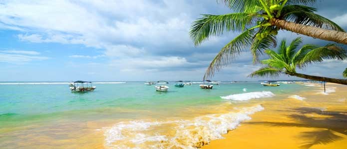billige charterrejser til Sri Lanka