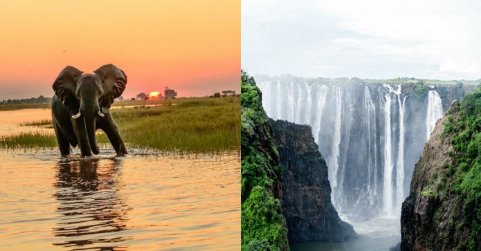 Rundrejse i Sydafrika, Zambia og Botswana i 2019
