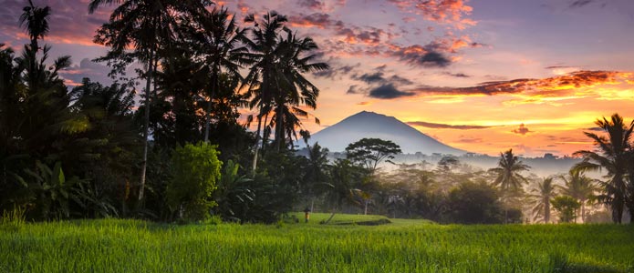 Rundrejse på Bali