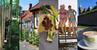 Ferie i Danmark 2023 – Se, hvad rejseeksperterne anbefaler
