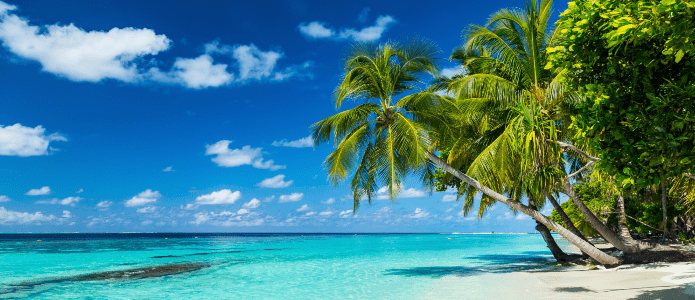 Maldiverne er kendt for de skønne strande