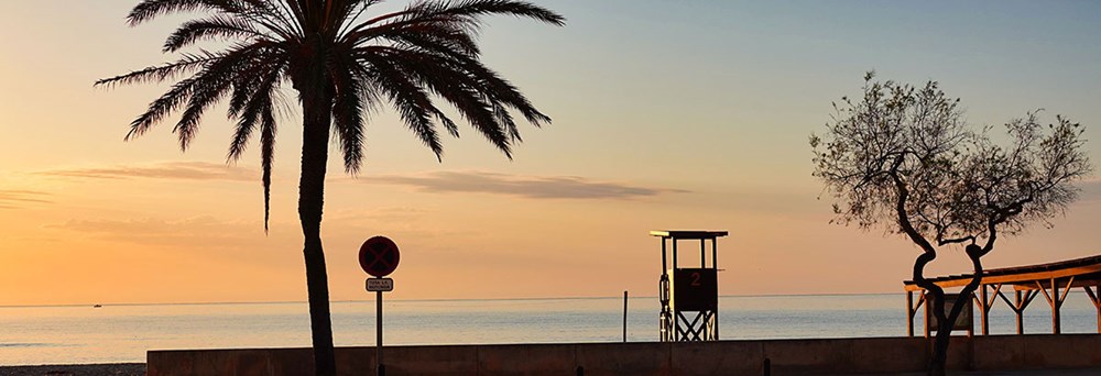 Kendt for sin smukke strand, det krystalklare vand og livlige atmosfære, tilbyder Cala Millor en dejlig ferieoplevelse.