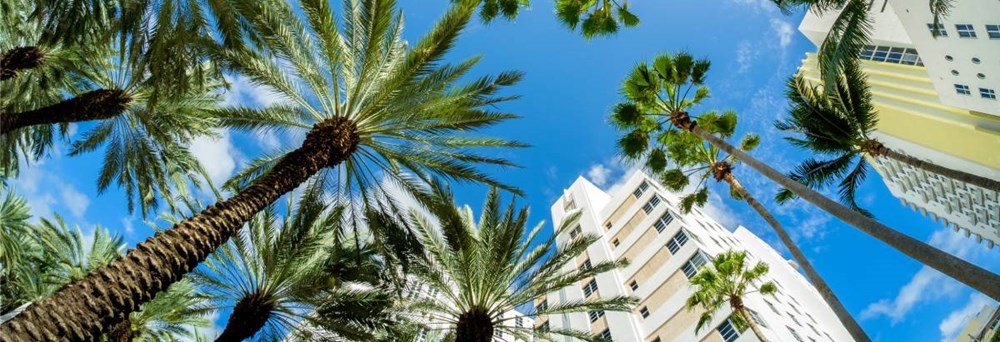 Miami er en levende by kendt for solskin, smukke strande og et pulserende natteliv.